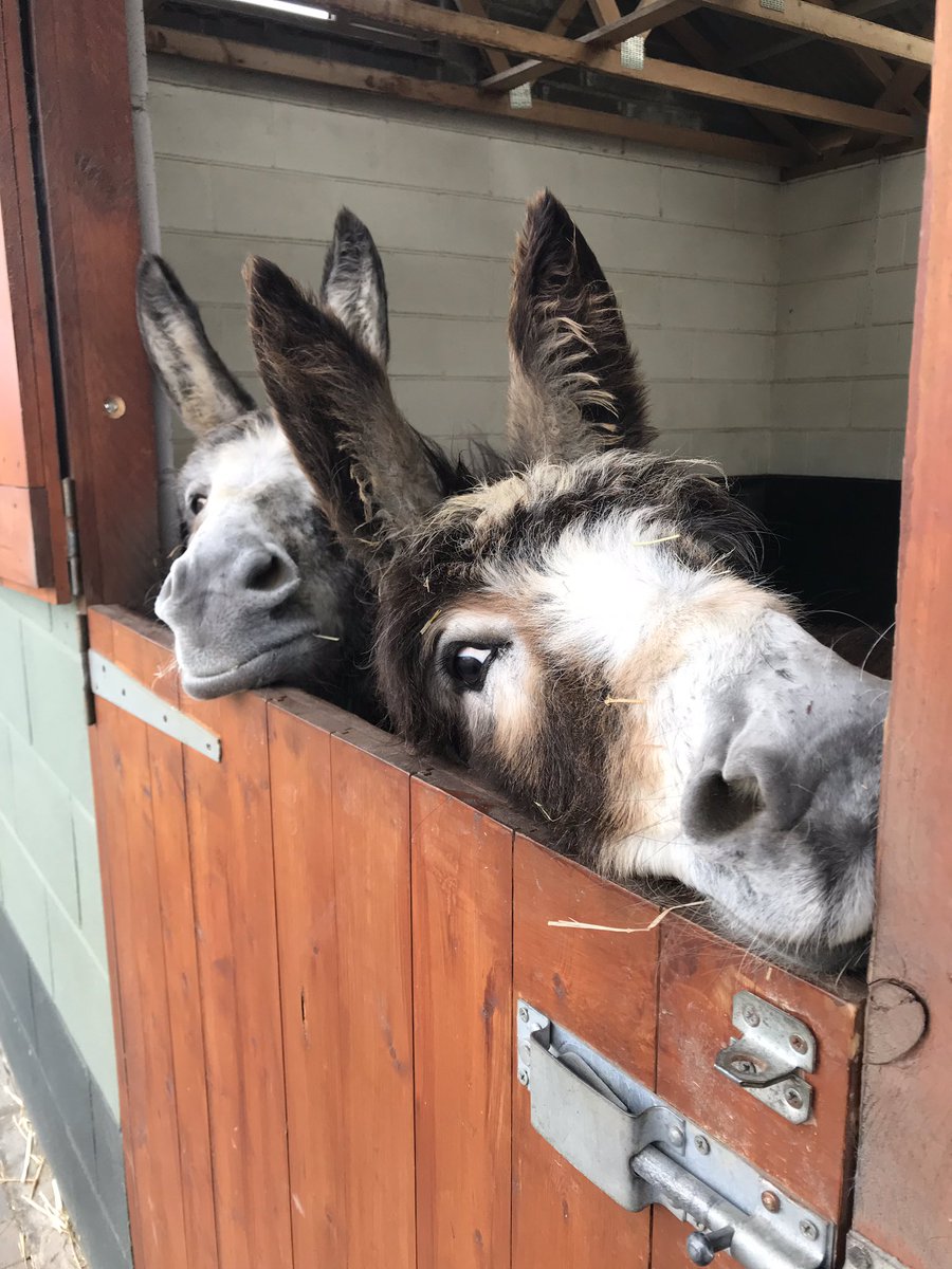 Like mother, like daughter! ❤️
