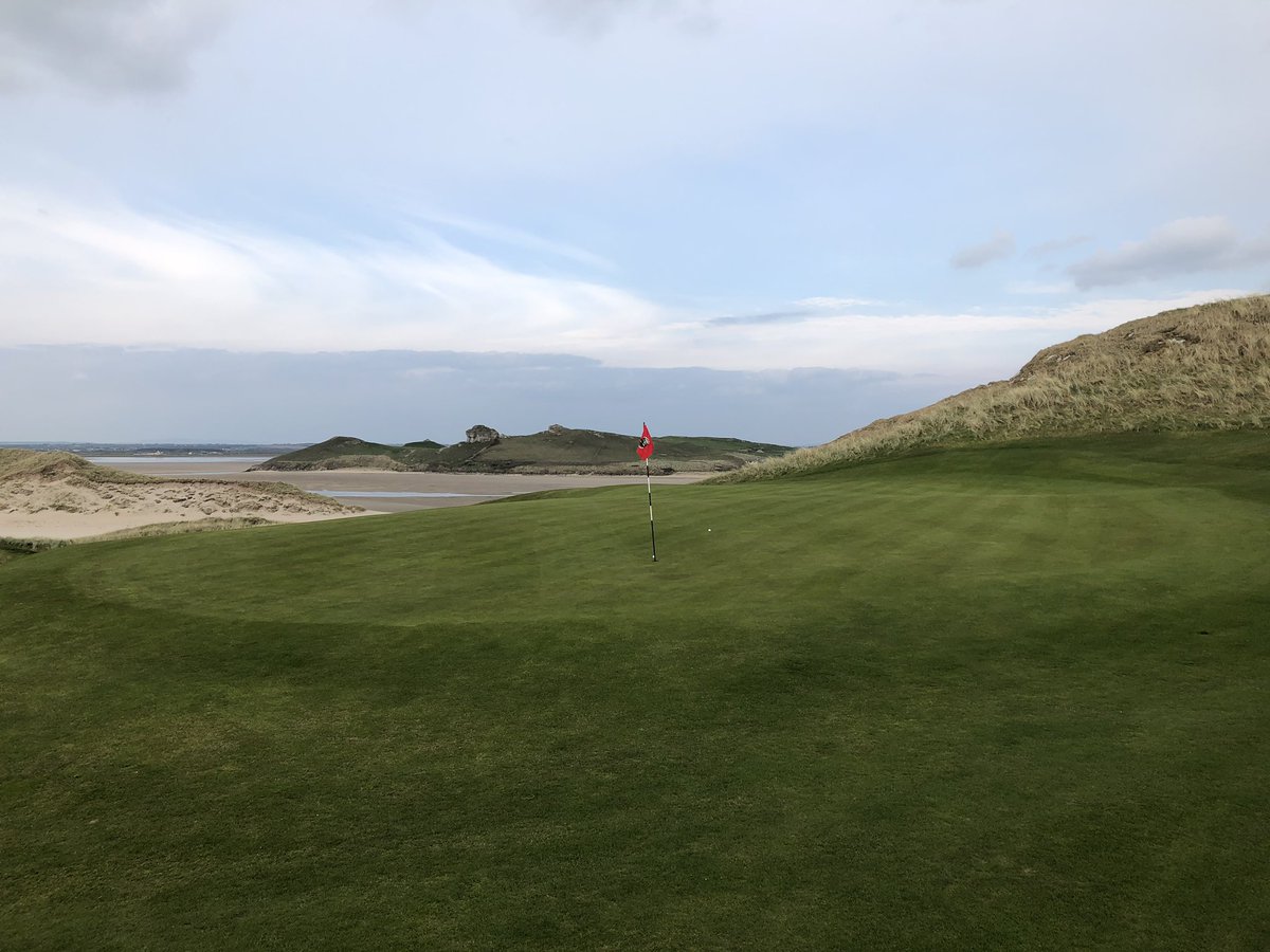 Social Media Open tweet media