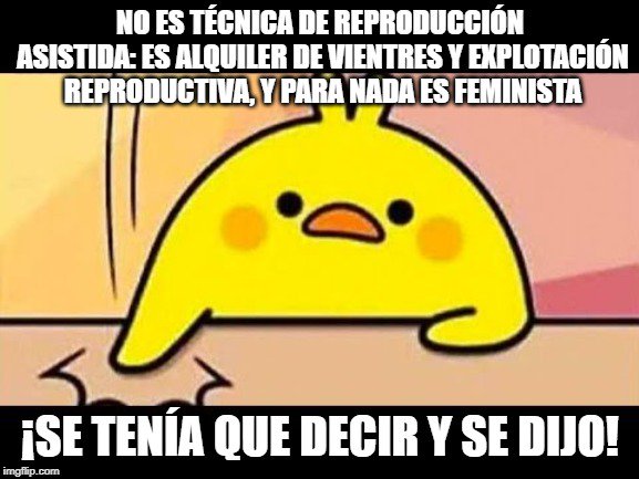 Feministas Mexicanas contra Vientres de Alquiler (@femmva) on Twitter photo 