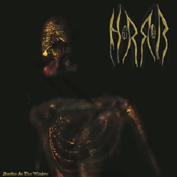 #TBT #ThrowbackThursday To the first Horror release in January 2011 - "Zombie At The Window" It's available for $1 on the Horror website Discography. #LoFi #DIY #Metal #BlackMetal #DeathMetal #ExtremeMetal #Brutal #Disgusting #Torturous #Guitar #GuitarSolo #Screaming #Horror