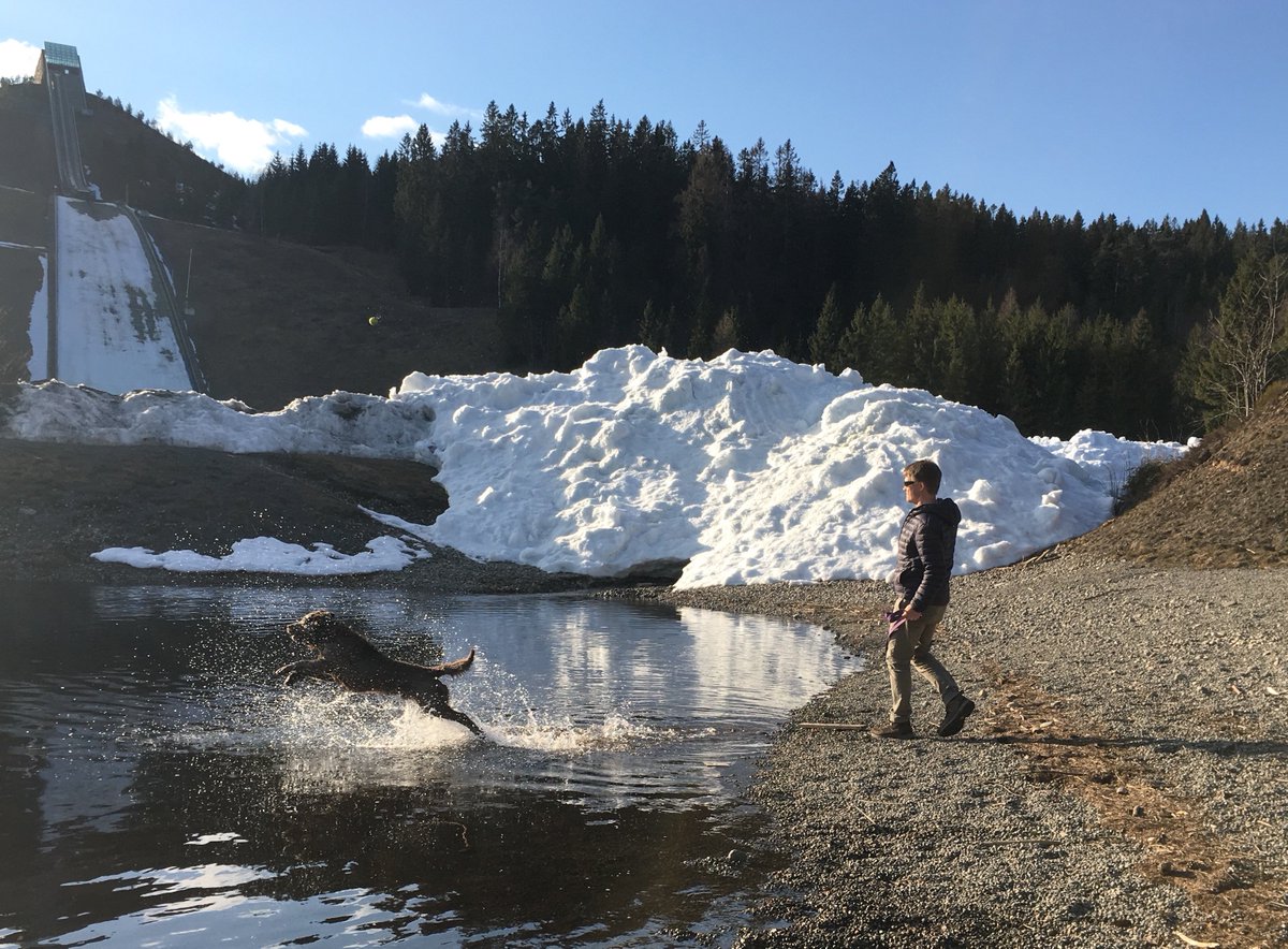 JahrenLabLab's tweet image. THEY. TOOK. THE. FENCE. DOWN. TODAY. #chesapeakelife