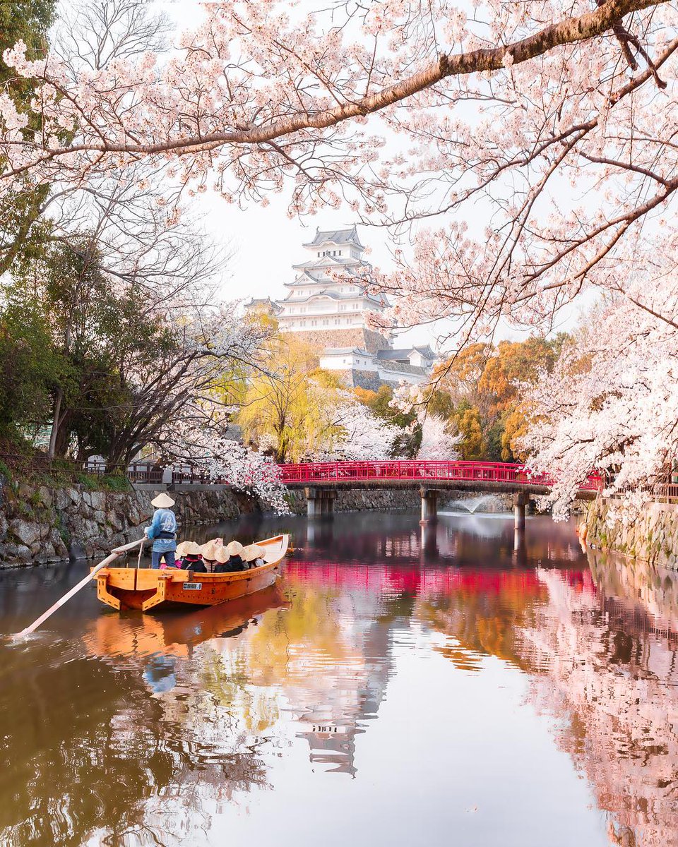 AestheticsJapan's tweet photo. 📷: https://t.co/dcYpm3r5bt https://t.co/Ef0khx07Lk