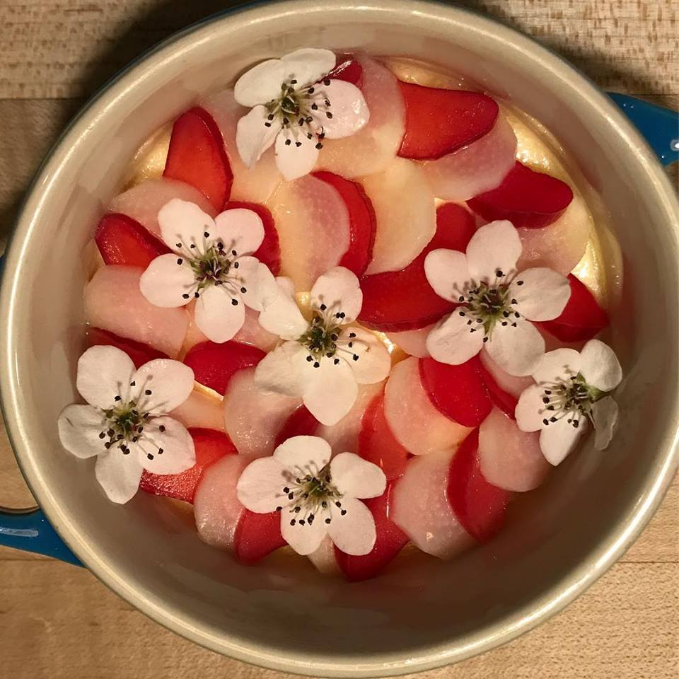 ChezHugoBistro's tweet photo. Savory version of the creme fraiche Panna cotta with rhubarb.
To start the meal we use a white asparagus chawanmushi  with fermented rhubarb and 🌸 ( Sakura ) blossom, white asparagus brushed with hazelnut oil https://t.co/lGjgrO9HxJ