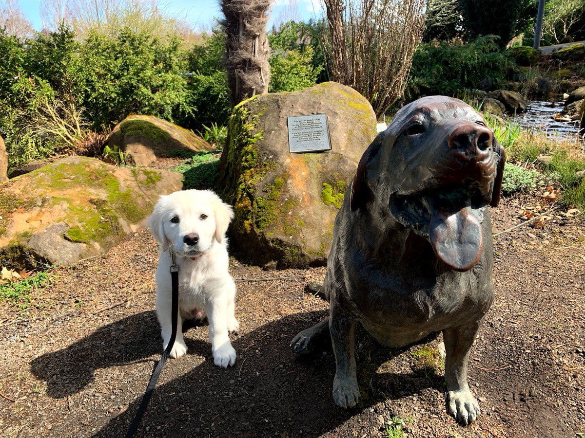 The Oregon Garden (@theoregongarden) on Twitter photo 