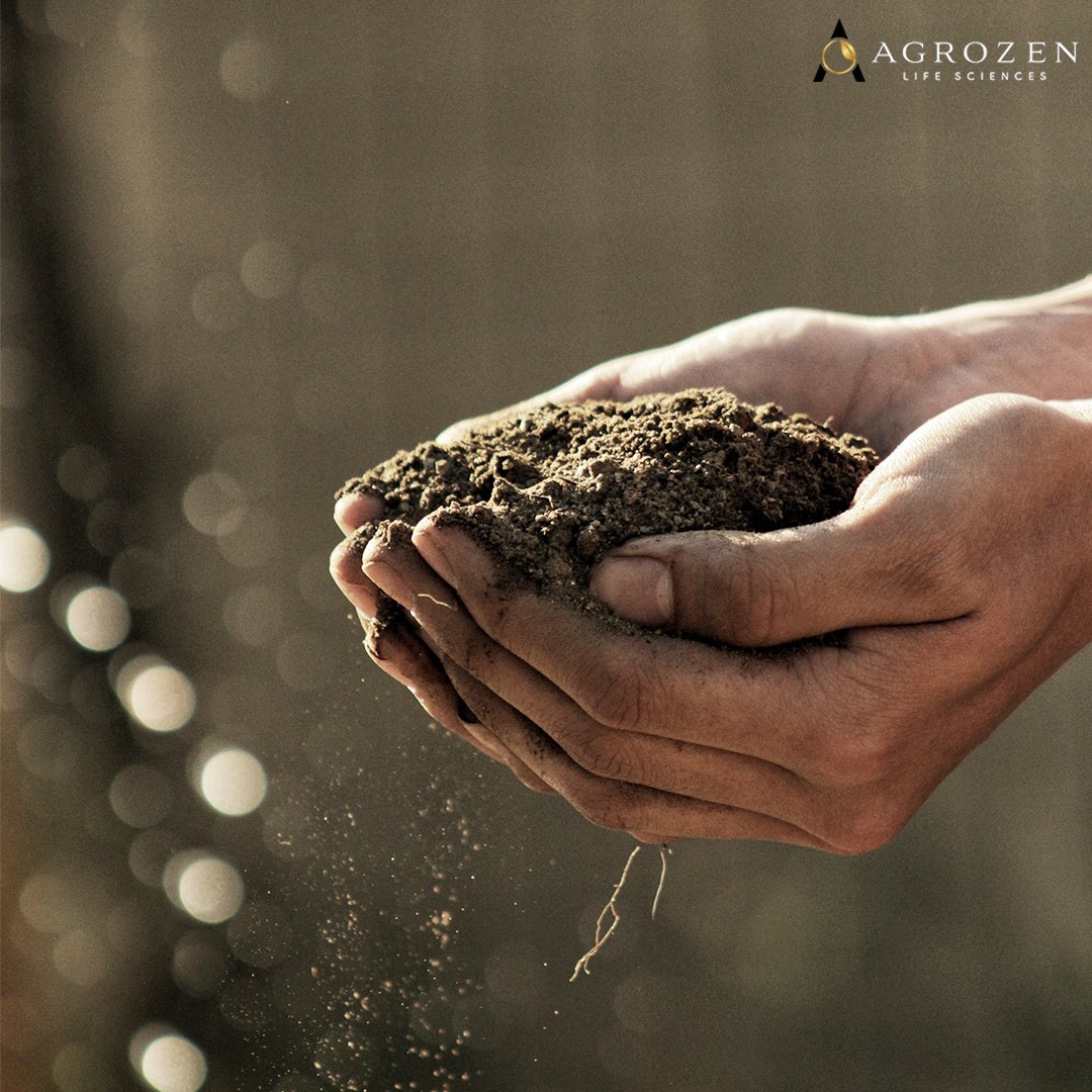 AgrozenLS's tweet photo. Our premium hemp is grown right here in the US so that we can ensure it's grown with the care it deserves. It is grown organically without GMOs &amp; processed using the purest CO2 extraction method to provide you with the highest quality products!
Learn more: https://t.co/RShs2VcyQF https://t.co/Zb3UYYAtpQ