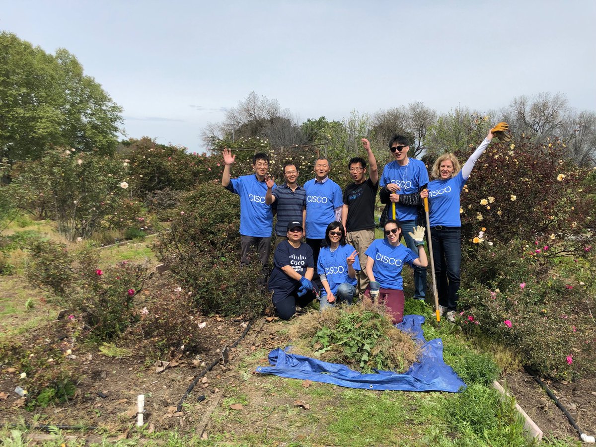 paulinevogl's tweet photo. Tending the Heritage Rose Garden in San Jose with Cisco in celebration of Earth Aware! #earthaware #lovewhereyouwork #wearecisco https://t.co/z4PZlvQHL7