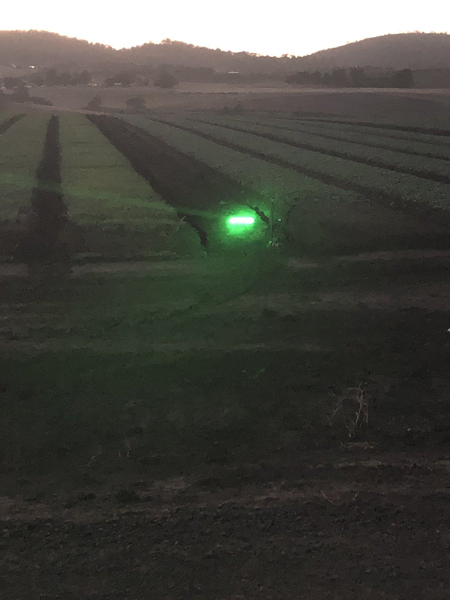 jonocraven67's tweet image. Bird scaring laser in action early morning protecting baby leaf crops. Doing a good job to date #duckoff #birdcontrol @AUSVEG @Hort_Au