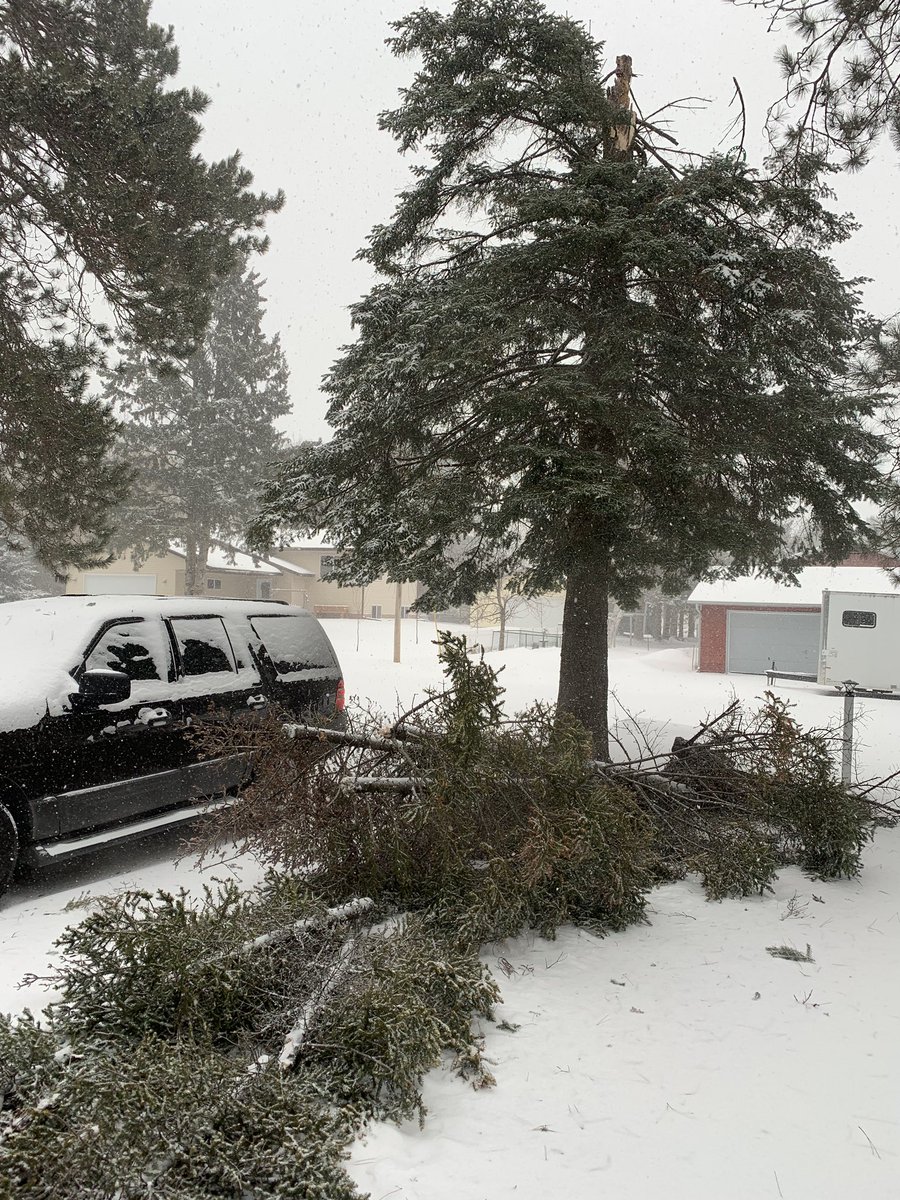 jhlemaster's tweet image. Time to bust out the chainsaw. The high winds and blizzard claims a tree. It missed the house and SUV. Thank you God for the protection! Blizzard still raging. #MNSpring
