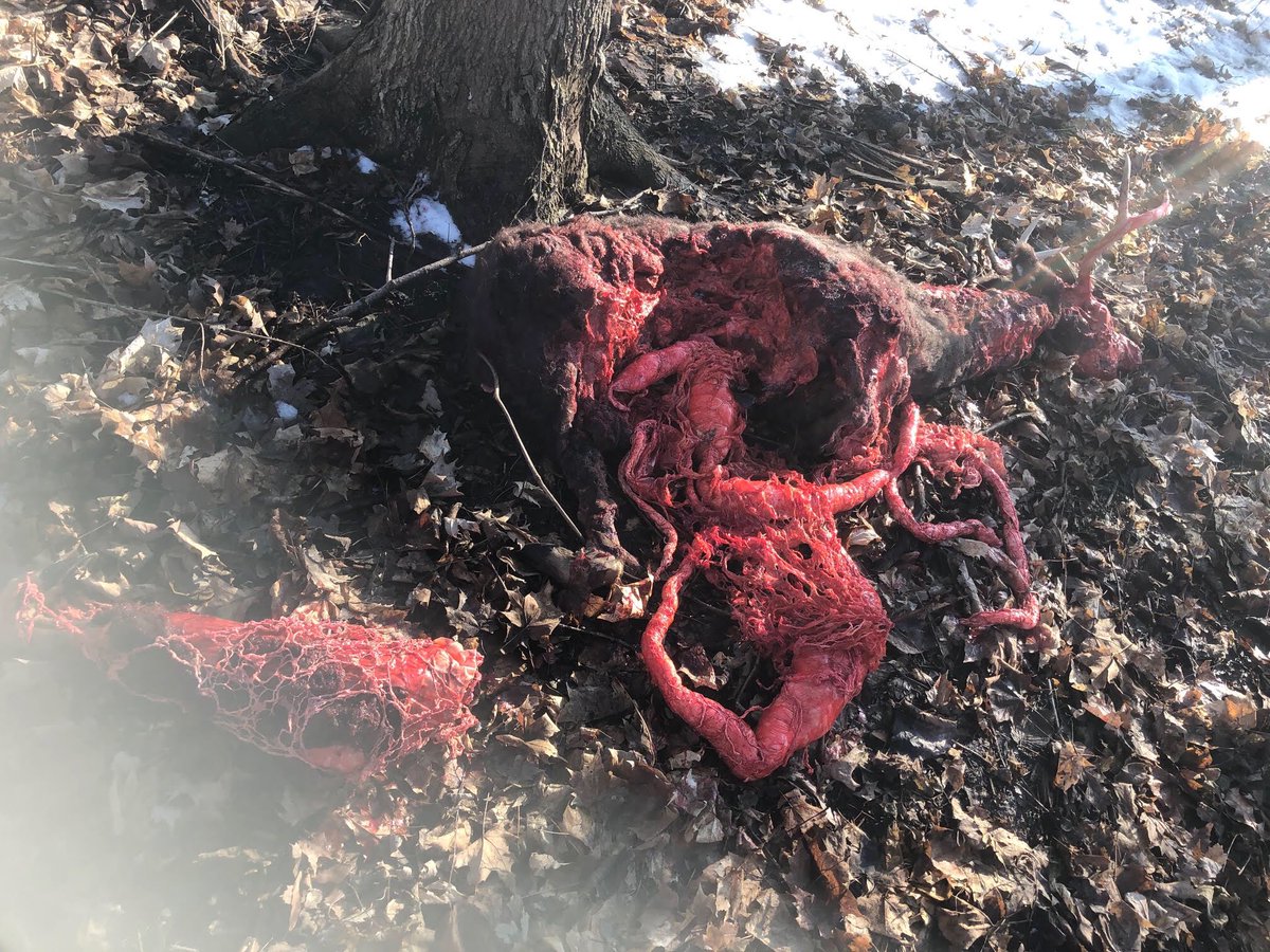 Deathcember tweet media