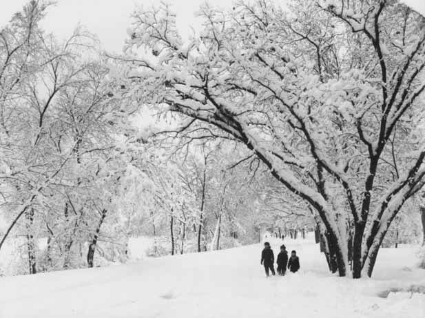 Minnesota Historical Society (@mnhs) on Twitter photo Due to the weather we are having the following sites will be closing today at 3pm, the <a href="/MNHistoryCenter/">MN History Center</a>, <a href="/JamesJHillHouse/">James J. Hill House</a>, and <a href="/MillCityMuseum/">Mill City Museum</a>.
Pictured below is a snow scene in 1932. Due to the weather we are having the following sites will be closing today at 3pm, the <a href="/MNHistoryCenter/">MN History Center</a>, <a href="/JamesJHillHouse/">James J. Hill House</a>, and <a href="/MillCityMuseum/">Mill City Museum</a>.
Pictured below is a snow scene in 1932.
