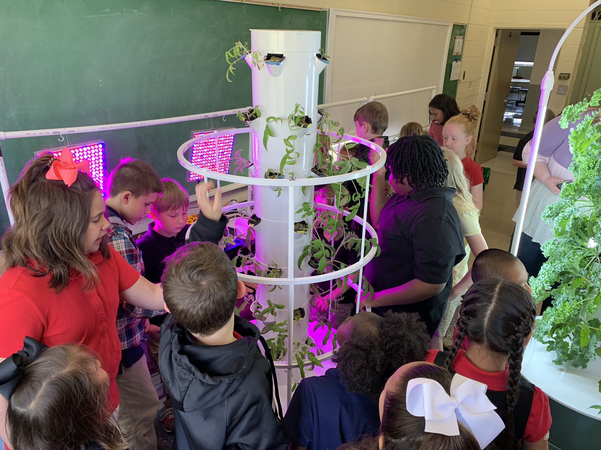 DianeTrout81's tweet photo. Buddy class learning today! @ejones604 taught us about hydroponics and we taught them about our garden. @SPARK_STEM #AthensProud https://t.co/hgP2kH25BO