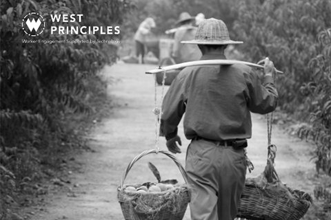 HumanityUnited's tweet photo. Our latest blog highlights the recent #WESTprinciples white paper, which explores how digital tools can adopt rights-based principles to support workers. Read it here: https://t.co/uwhKtaOeg0 #technology https://t.co/yjEQ3u2Tja