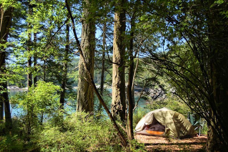 Doe Bay Fest tweet media