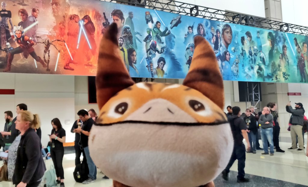 Someone's excited to be in the presence of old friends.  #LothCatAtSWCC