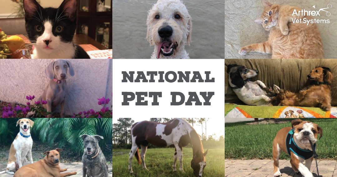 ArthrexVet's tweet photo. This #NationalPetDay, join us in supporting local organizations making a difference in animals’ lives like @HSNaples, @AnimalRefuge and @CROWClinic. #MakingPetsBetter https://t.co/af8dt8fiDk