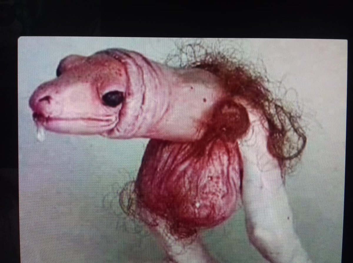 Genny4real tweet media