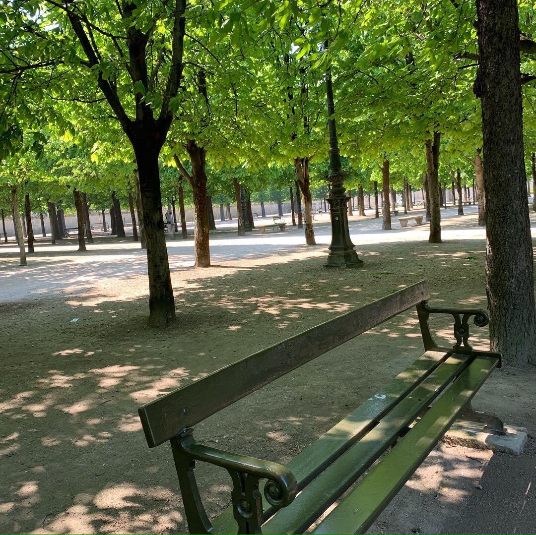 parisvisites's tweet photo. Les Tuileries au printemps ? Un paradis à (re)découvrir ... #Paris #jardin #France #travel @1001France #magnifiquefrance #travel #tourisme #tourism #printems #spring @VIParis @ParisAMDParis #visitParis Paris https://t.co/9Bj6zpGgSY