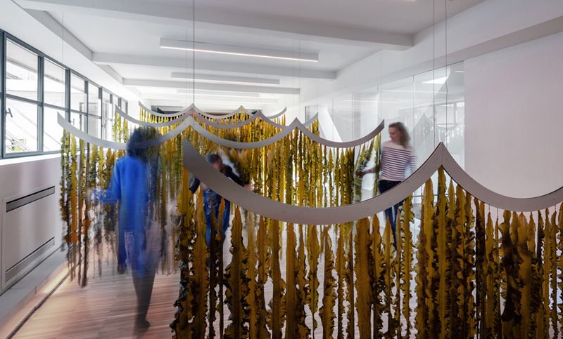 One Works presents #WAVES, an installation made of seaweeds on #Climatechange buff.ly/2G4dm9w #MilanDesignWeek2019 #WAVESinstallation
