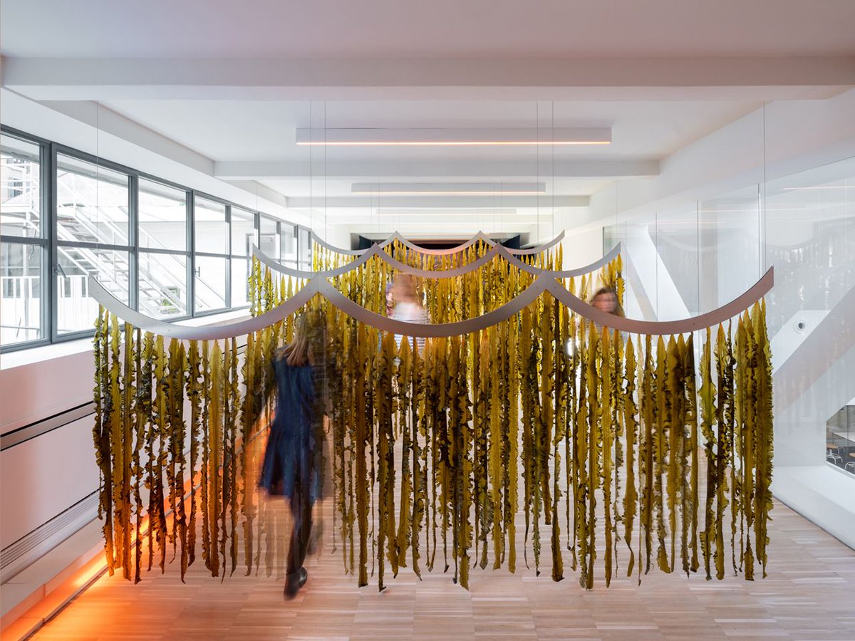Archiobjects's tweet photo. One Works presents #WAVES, an installation made of seaweeds on #Climatechange https://t.co/CmmsBRqN8b #MilanDesignWeek2019 #WAVESinstallation https://t.co/LPuFuKbvjx