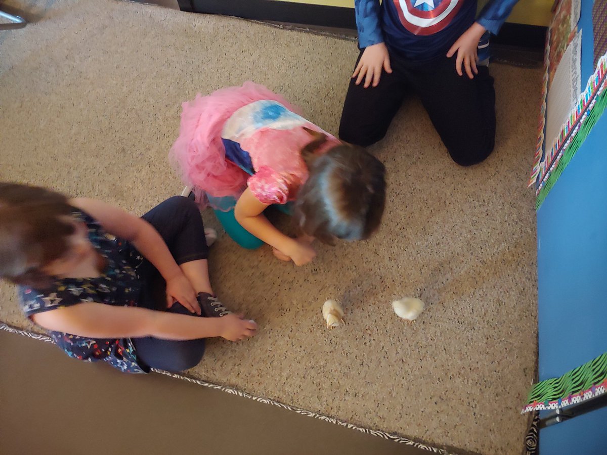 Bethany Lake tweet media