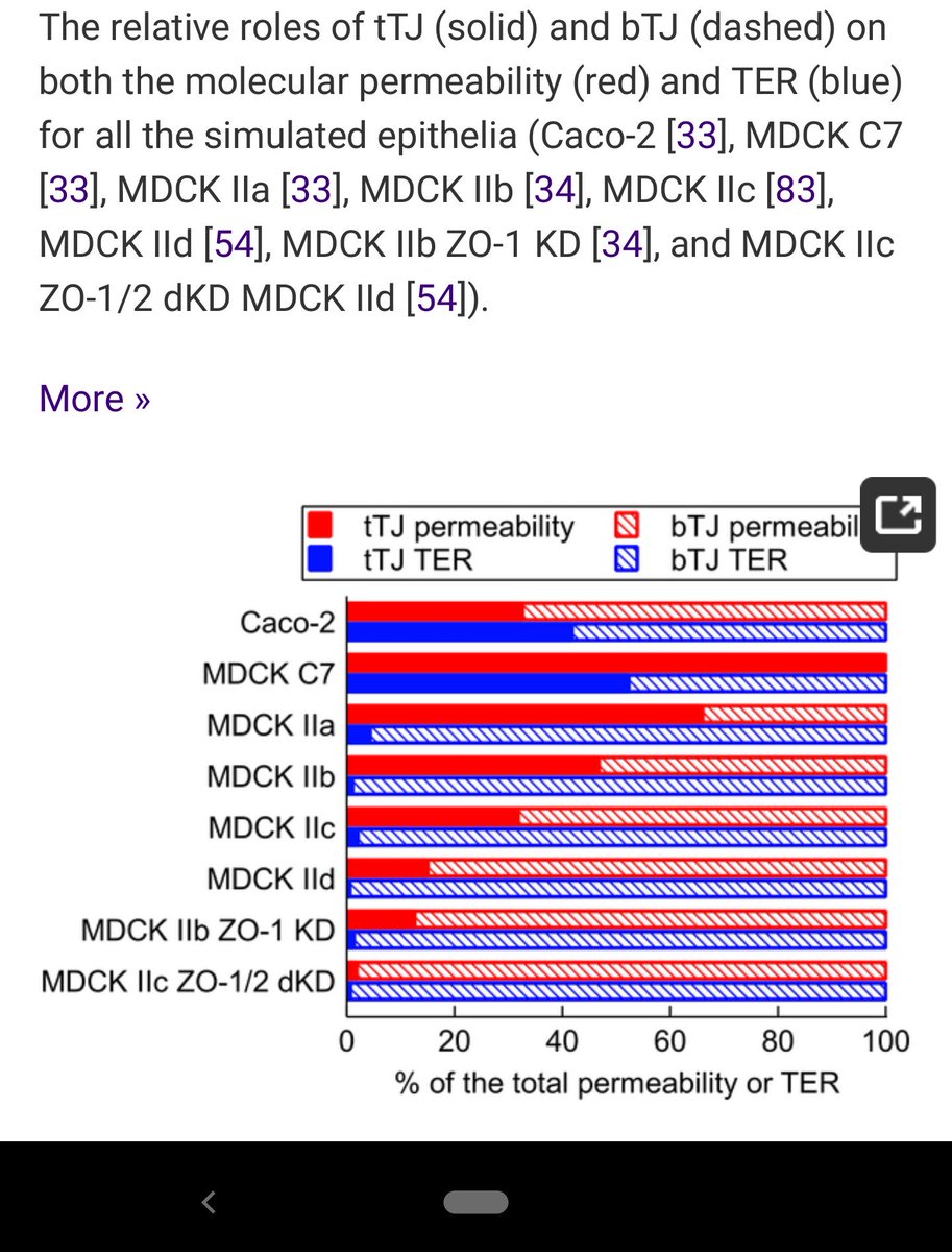 HyttinenLabCBIG's tweet image. Out new paper by @atervn in collaboration with @nymarklab @IhisTeemu @JariAKHyttinen depicting the important role of #dynamic #modulation of #TightJunctions in #epithelia #barrier  molecular #permeability and transepithelial electric resistance #ter. #InSilico @TampereUni