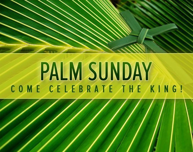 TRFFreeChurch's tweet photo. Join us this Sunday!
Pastor Kevin will bring us a message from Luke 19:28-44 
SUNDAY SCHOOL &amp; LIFE GROUPS at 9:15am
WORSHIP at 10:30am https://t.co/iujYHCdSIp