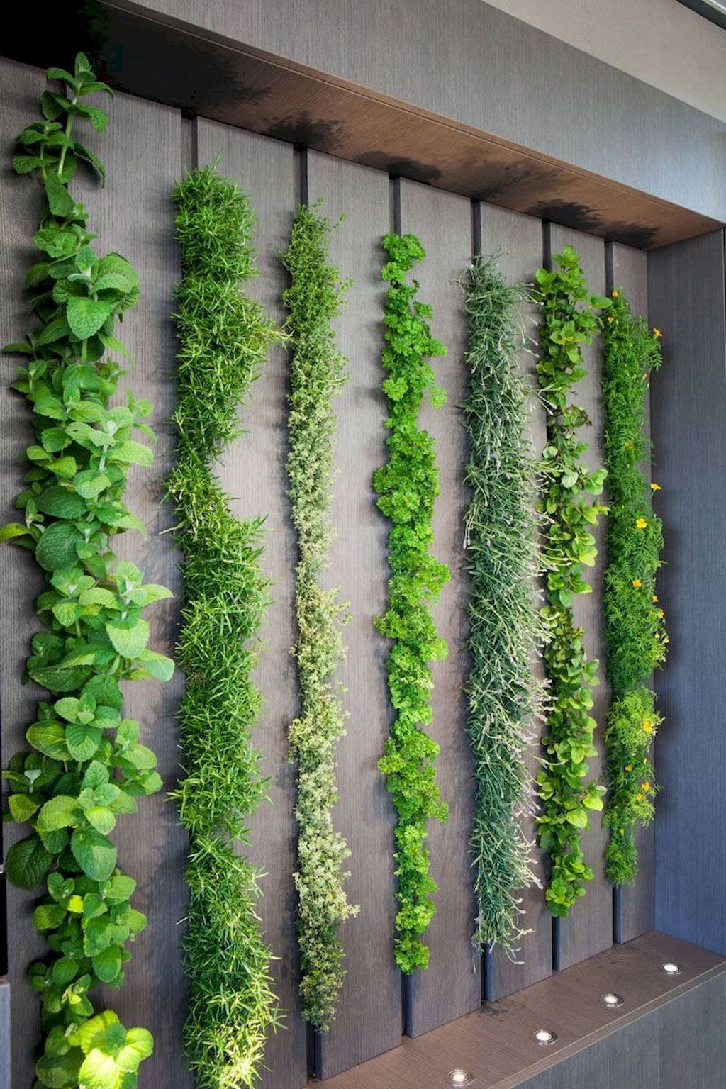 how to make an indoor wall garden