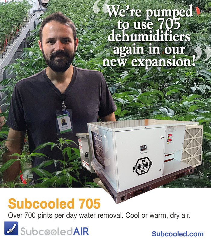 subcooled_air's tweet photo. #IndoorGrow #GrowRoom #GrowRooms https://t.co/H8RvjCqS5p