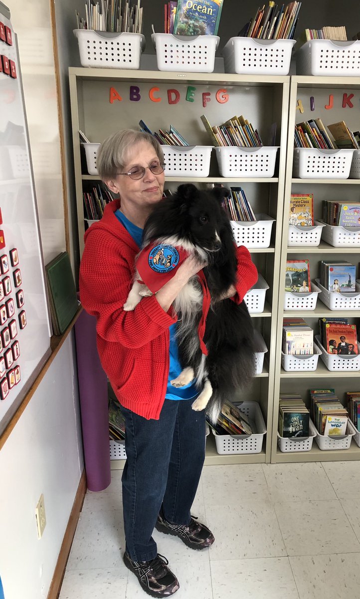 k_chilcote's tweet photo. Thank you to Mrs. Golden and her therapy dog, Gibbs! Our students loved reading to Gibbs to celebrate “Let’s Read WV” day! #ReadWV #LoveMyWVSchool https://t.co/9fzjQoUxgj