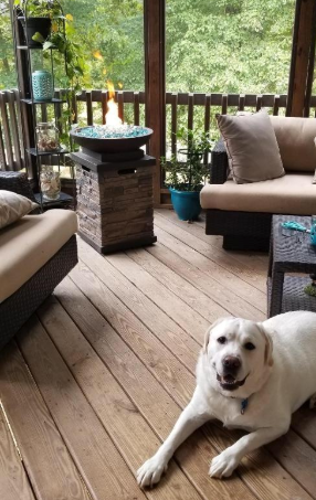 Wishing you and your furry loved ones a cozy #NationalPetDay! 🐶🐾🐱