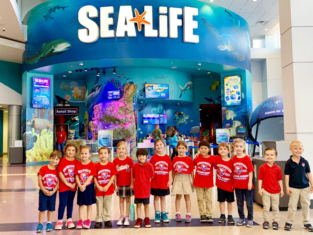SEA_Today's tweet photo. Our K4 students went to the SeaLife Aquarium today. Learning about sea creatures in a fun environment, what a perfect way to spend a Thursday. #handsonlearning #fieldtrip #K4fun https://t.co/mrwBOBFE3V