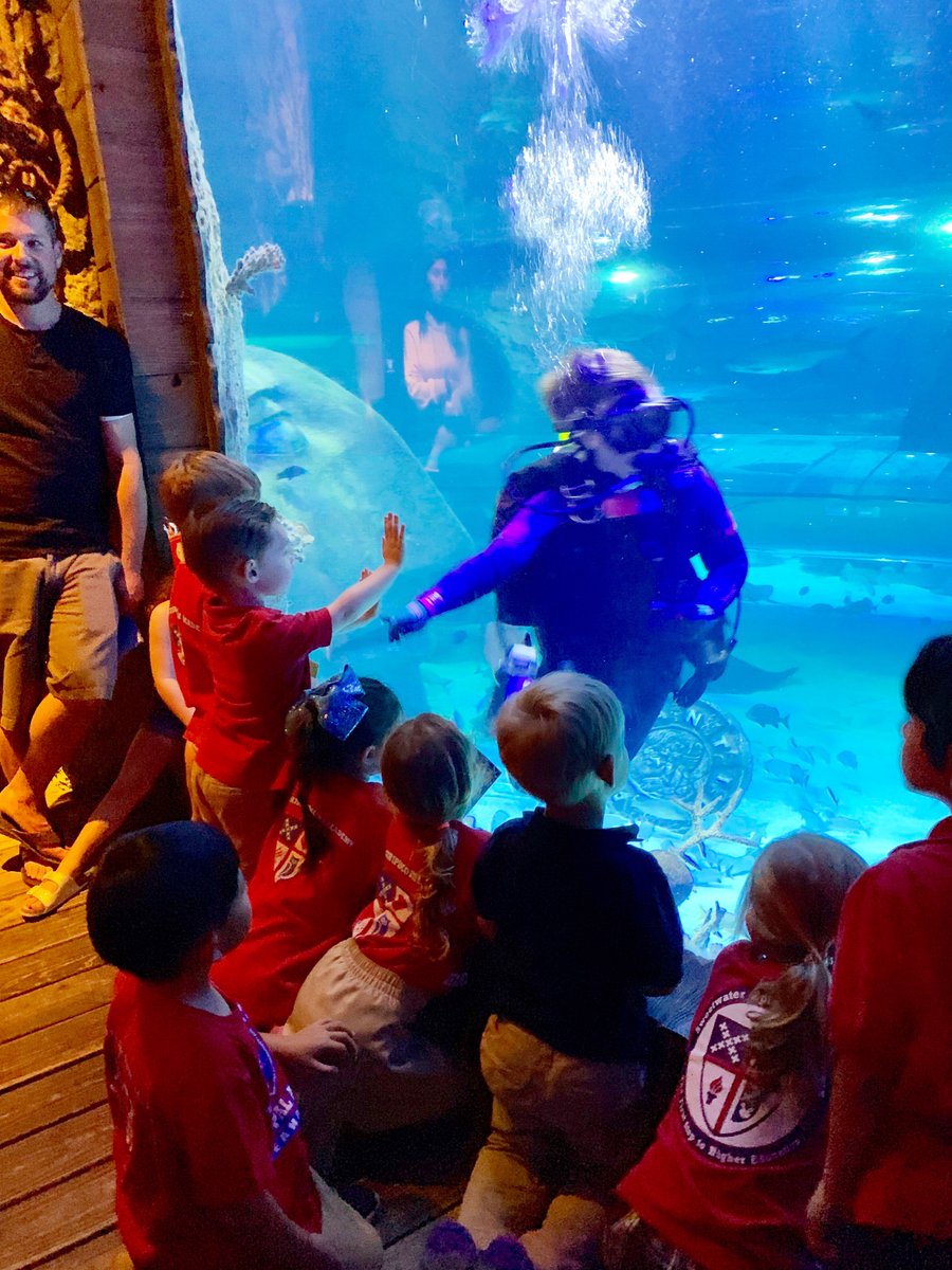 SEA_Today's tweet photo. Our K4 students went to the SeaLife Aquarium today. Learning about sea creatures in a fun environment, what a perfect way to spend a Thursday. #handsonlearning #fieldtrip #K4fun https://t.co/mrwBOBFE3V