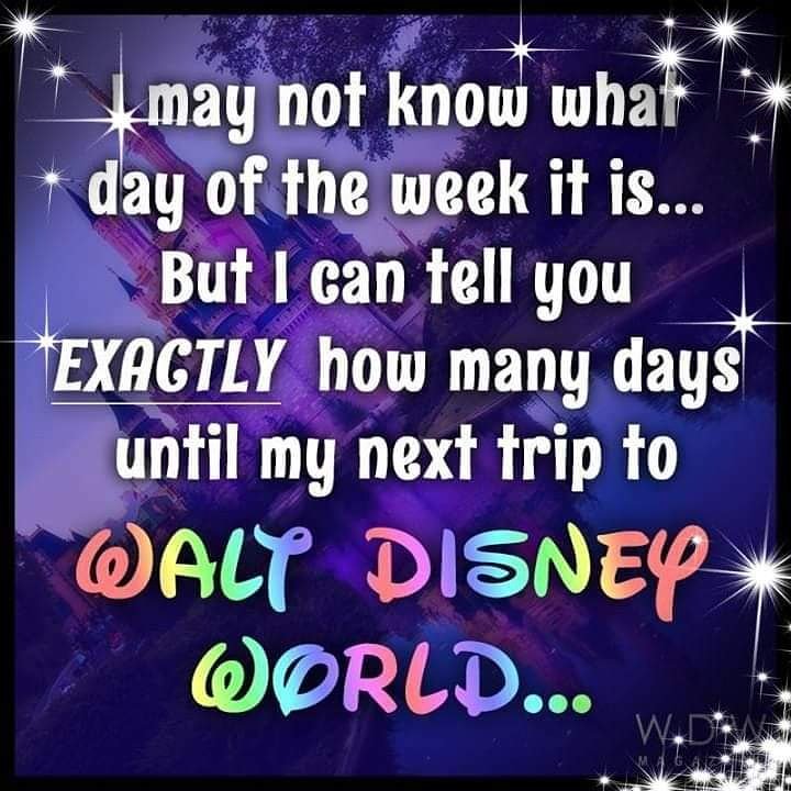 yidprincess28's tweet photo. Soooooo excited to be flying out to @WDWToday in 9 days! 1st long haul flight. 1st flight with @VirginAtlantic can't believe we're actually going!!! https://t.co/D7vWvYlgfG