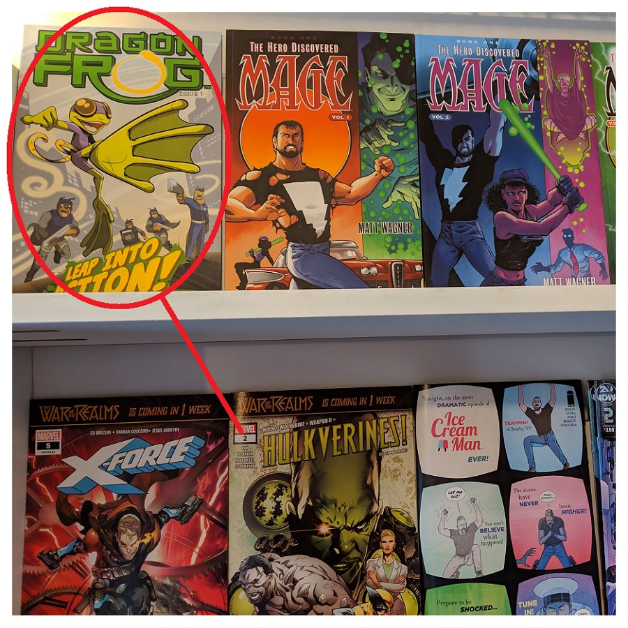 DRAGON FROG is in the care of The Comic Book Doctor in Cranston, RI! Thanks Ardel! #LeapIntoAction to grab your copy!  #comicbooks #indiecomics #CranstonRI #RhodeIsland @CranstonRICOmmu #kidlit #makecomics #Manga #checkitout #SDCC #GoWithVeev #AllAges