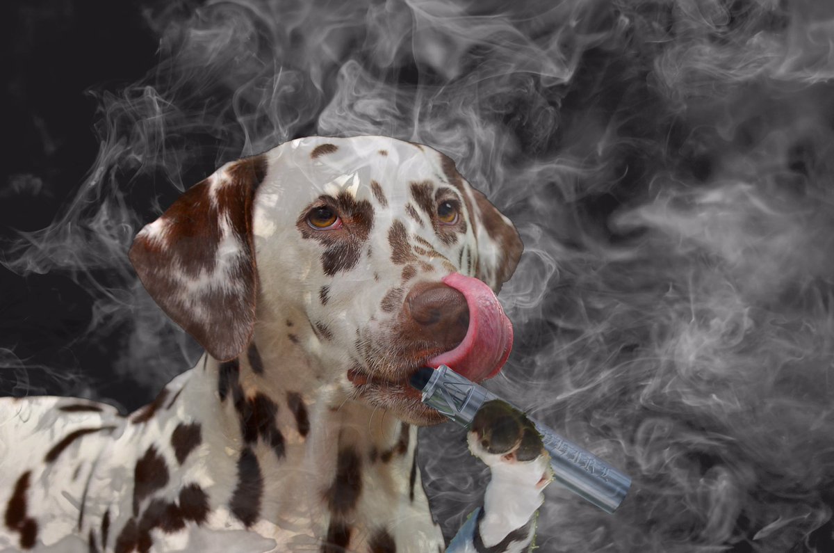 Y'all know my #dog is gonna be #vaping tonight for #NationalPetDay Got him a little dog sized #vape and he loves blowing huge #clouds Y'all know my #dog is gonna be #vaping tonight for #NationalPetDay Got him a little dog sized #vape and he loves blowing huge #clouds
