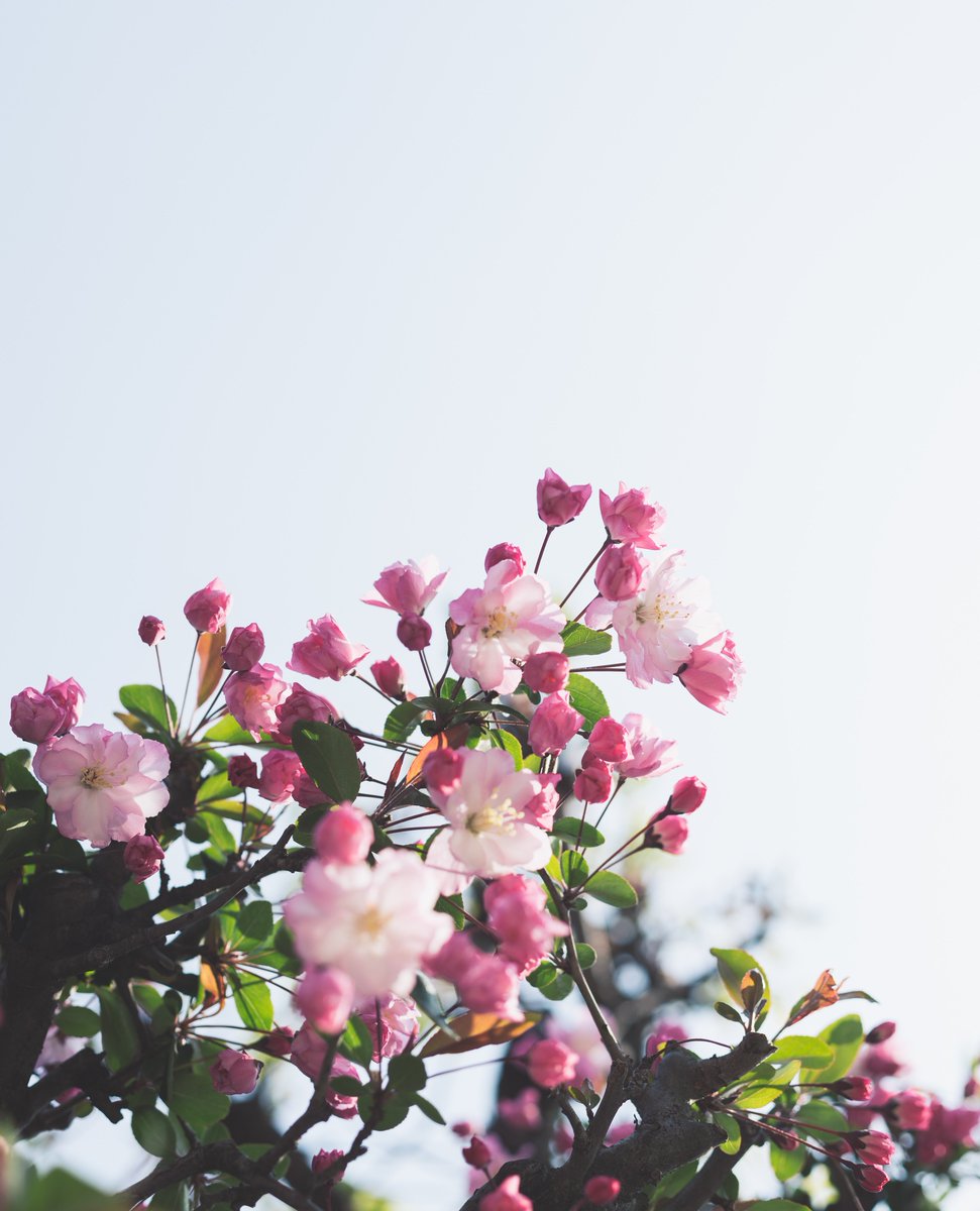 bluebeautifly's tweet image. Support the spring in your skin this season with luscious cleansers &amp;amp; moisturizers to alleviate the effects of pollution. Tap into a treasure trove of products specially formulated to calm, satisfy, balance, &amp;amp; protect your skin. 
#bluebeautifly #healthy #organic #vegan #skincare