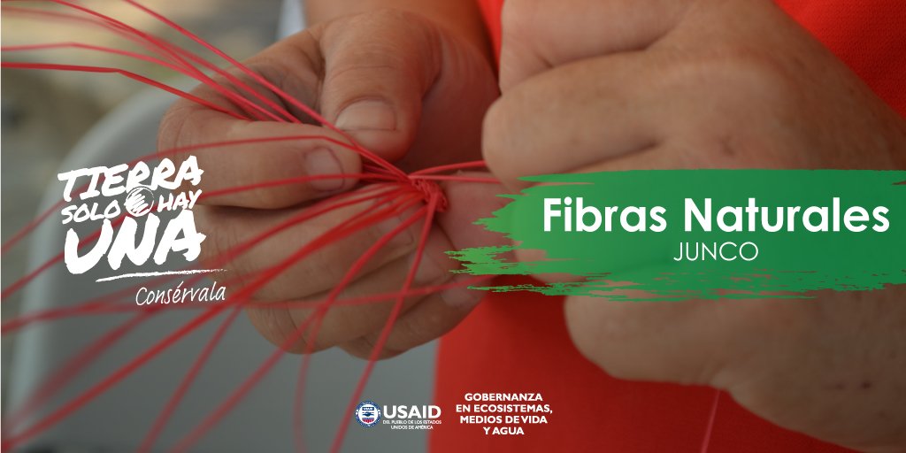 “¡Las fibras naturales son fuente de ingreso para muchas familias! USAID, a través de su actividad <a href="/GEMAHonduras/">GEMA</a>, capacita a artesanas de fibras naturales para que su arte sea amigable con el ambiente. #TierraSoloHayUna
<a href="/USAIDHonduras/">USAID Honduras</a>