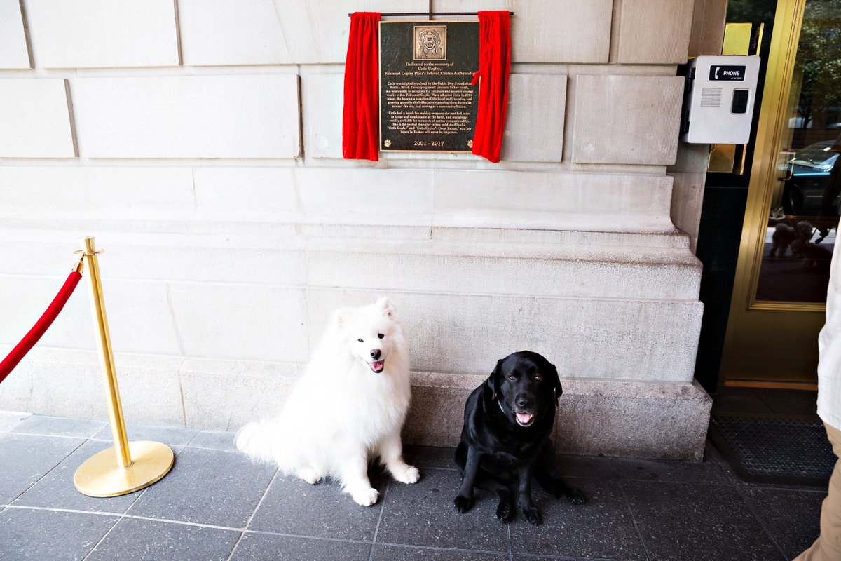 Our pets are our #1! We'd love to see photos of your furry loved ones who have visited our hotel or would like to visit. Happy #NationalPetDay! (Hi <a href="/christopher_pig/">Christopher the Pig</a>, <a href="/brandyandmoose/">Brandy and Moose</a>, <a href="/Knox_and_Bear/">KnoxandBear</a>, <a href="/HarvardDanger/">Harvard Dangerfield</a> 👋) #PetFriendlyHotel #Boston