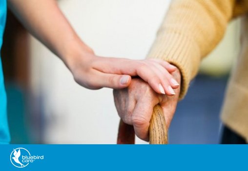BluebirdWorc's tweet photo. We have a number of vacancies to help us expand our growing team! If you’re interested in a career in Care and live in the Evesham and Worcestershire areas, get in touch! #EveshamHour https://t.co/Bgw5IL2AX0