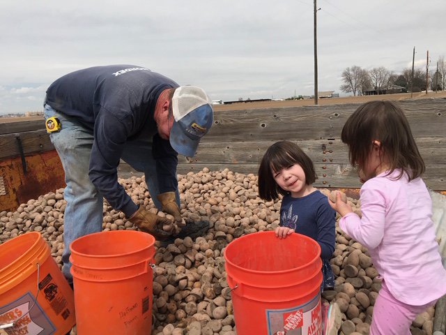 Hoffman Farms tweet media