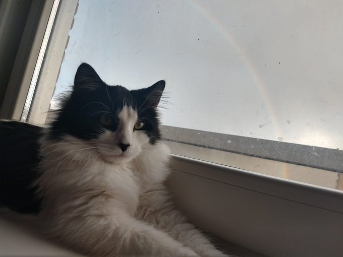Yeah rainbow.. So what? :D https://t.co/zwL5rR5zyQ