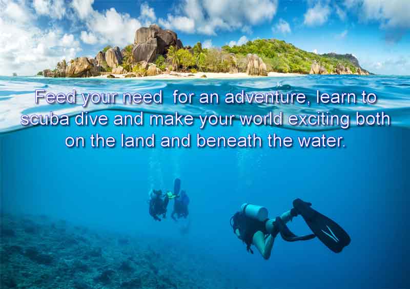 TrainingScuba's tweet image. #Northantshour Discover Scuba Diving here in #Northampton! Mention this tweet and pay just £10! #Scubadiving is #exciting &amp;amp; #relaxing, learn how to breathe underwater - Just think of your next #holiday! Discover your new #addiction with scubadivingcentre.co.uk DM us now!