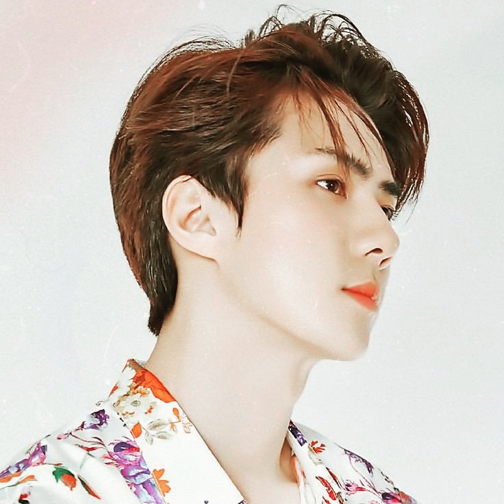 HunNaLin1's tweet image. Happybirthday🍰😍oppa wish the best 😙
#ShiningSehunDay 
#EXO