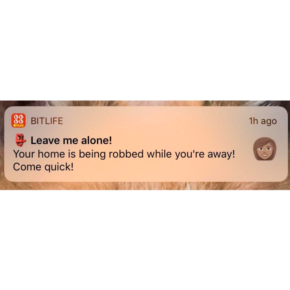 BitLifeApp's tweet photo. Nowadays crazy things happen, good and bad, whether you’re home or not!😨 As always, you decide your fate!🔮 #Notifications #BitLife #Bitizen u/vomar83

Nobody:

BitLife: 👇🏼 https://t.co/q3qKUF9T7o