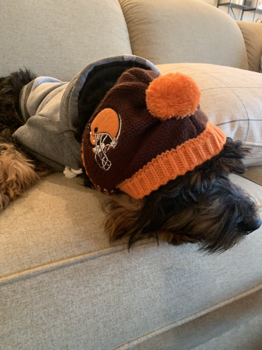 hal_rumpy's tweet photo. @Browns https://t.co/mG9qJNmZoI