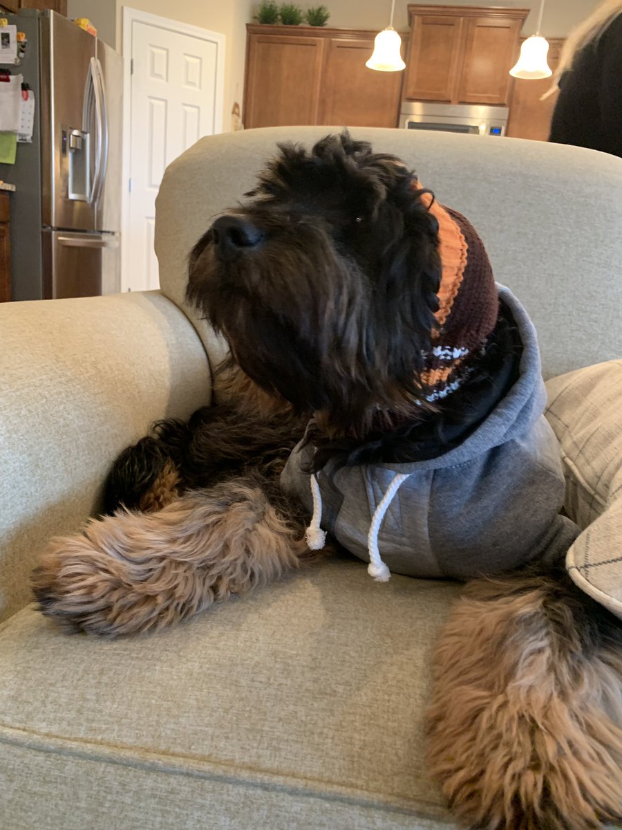 hal_rumpy's tweet photo. @Browns https://t.co/mG9qJNmZoI