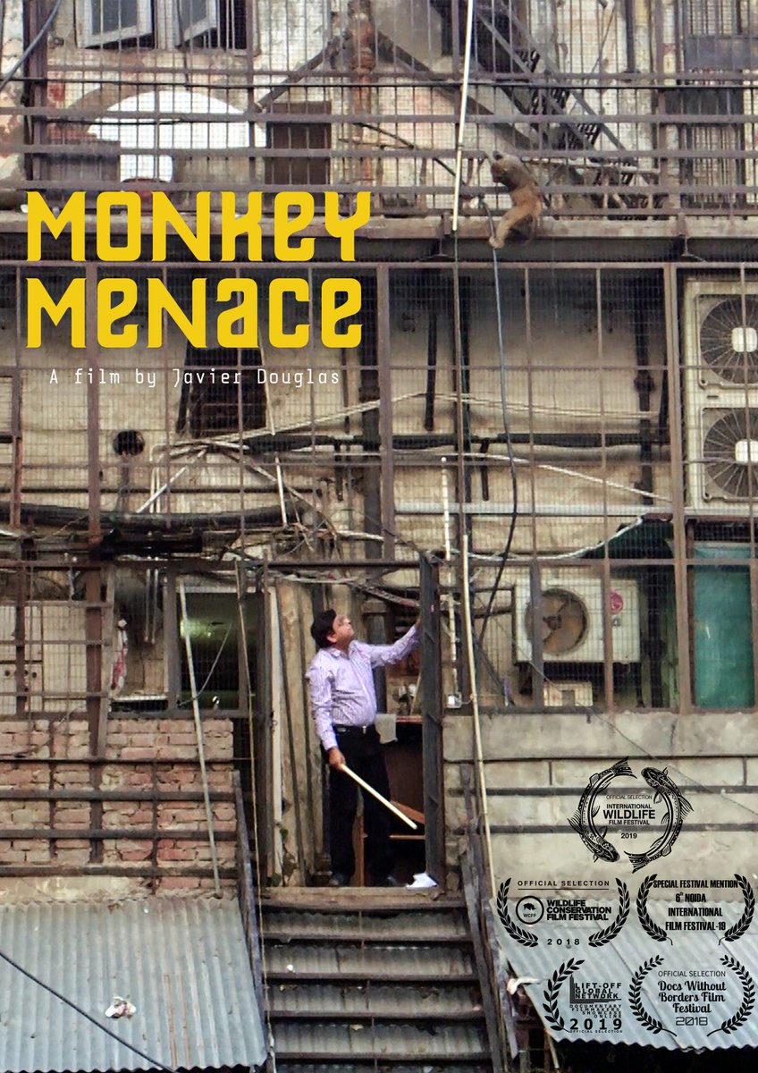 Dear people of #missoula, my debut feature documentary Monkey Menace about human-monkey conflict is being screened at the wonderful Roxy Theatre for <a href="/IntlWldFilmFest/">IWFF</a> on Sat 13th - 7.15pm &amp; Tues 16th - 6.30pm. Tickets here: wildlifefilms.org/films/2019-sem… … 🐒🐒🐒🐒🐒🐒🐒🐒🐒