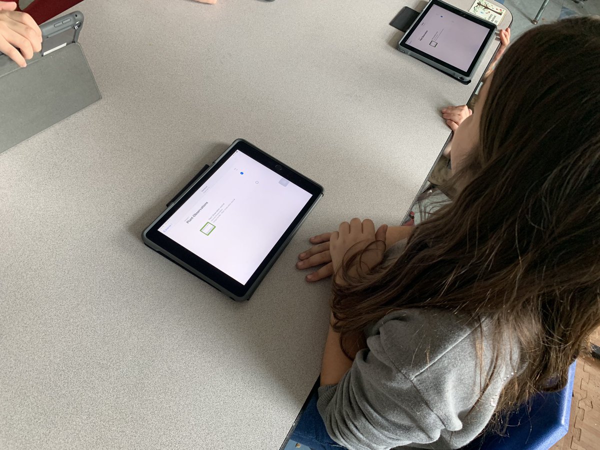 Irving Elementary (@irvingberwyn) on Twitter photo Kids in <a href="/Ms__Emrich/">Maddie Emrich</a> and <a href="/RosemaryKusel/">Rosemary Kusel</a> are super excited for science. They using keynote to make observations of their plant’s development #lovemyschoolday #d100insipres #irvingpride Kids in <a href="/Ms__Emrich/">Maddie Emrich</a> and <a href="/RosemaryKusel/">Rosemary Kusel</a> are super excited for science. They using keynote to make observations of their plant’s development #lovemyschoolday #d100insipres #irvingpride