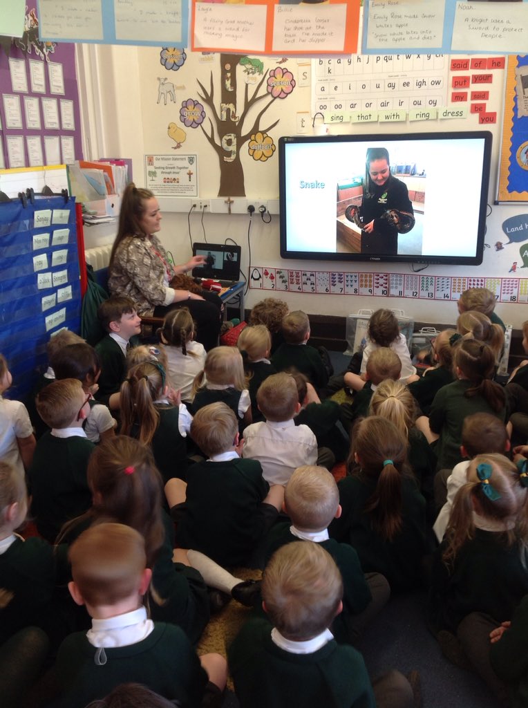 sjvblackpool's tweet photo. Emillie came into our class today to talk about different animals and how to care for them #SJVClassRC #SJVClassRM https://t.co/he3NRQc4Aw