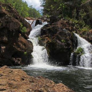 We're pleased to be welcoming Joe Cuhaj to the #AlabamaBookFestival Saturday. Cuhaj is the author of six books that focus on the Alabama outdoors, including his latest, Best Dog Hikes: Alabama. buff.ly/2VG4Ios #anabranch